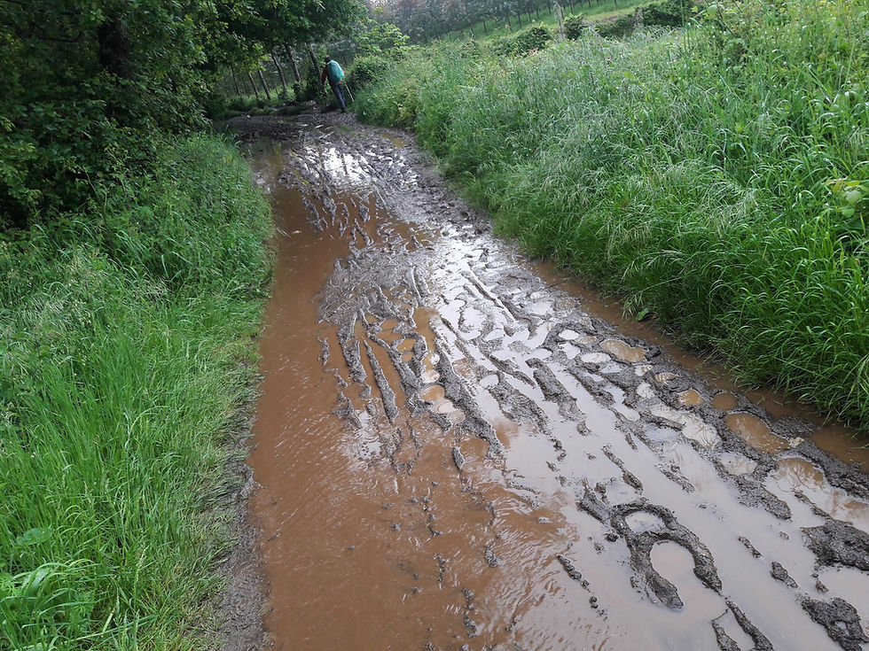 Camino de Santiago to Salceido