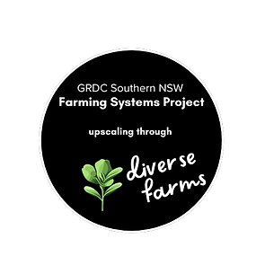 Diverse Farms logo - white border.png