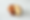 IMG_9027_small.png