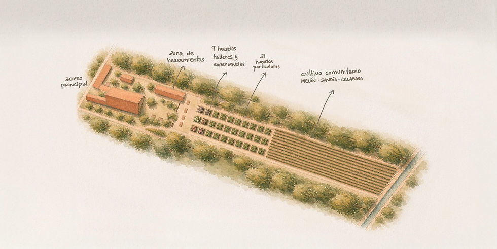 Plano-Horizontal-Aire-Superior-Hort-de-Gava_Optimizado2_edited.jpg