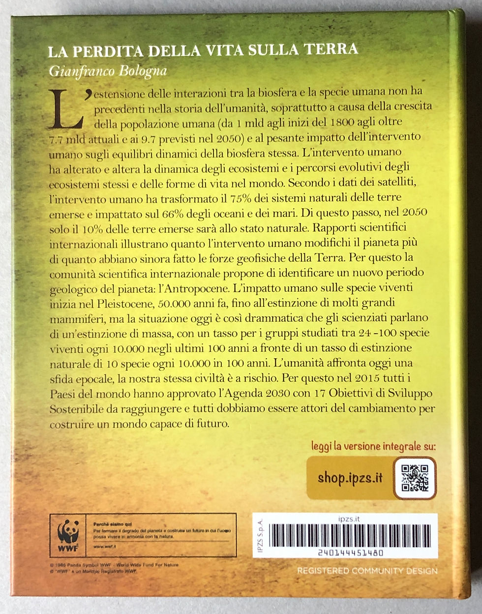 Miniatura: ITALIA - 2020 - TIGRE
