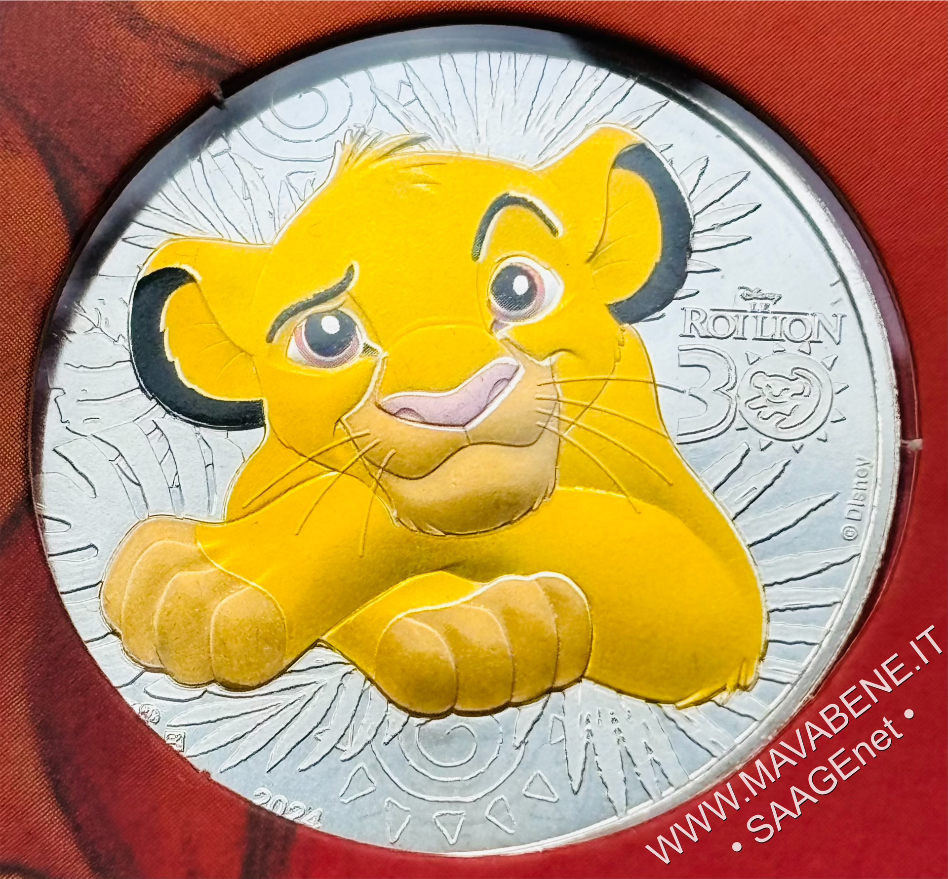 FRANCIA - 2024 - RE LEONE