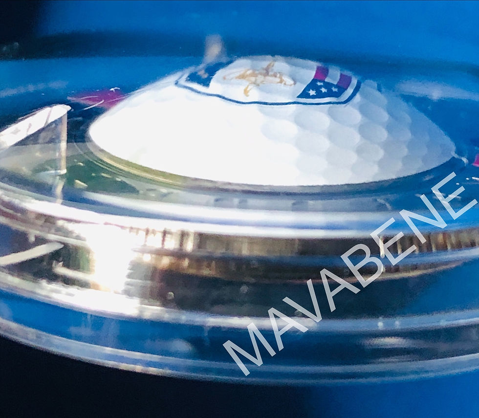 Miniatura: ITALIA - 2023 - GOLF