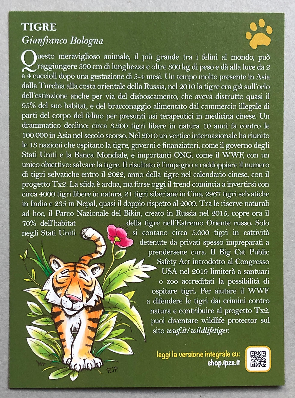 Miniatura: ITALIA - 2020 - TIGRE
