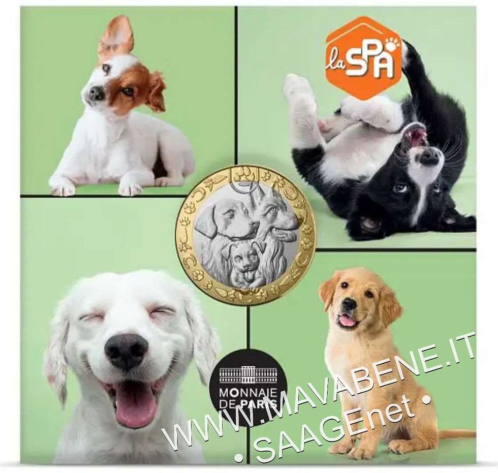 Thumbnail: FRANCIA - 2025 - CANE