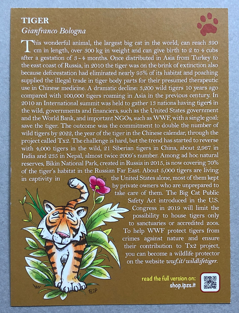 Miniatura: ITALIA - 2020 - TIGRE