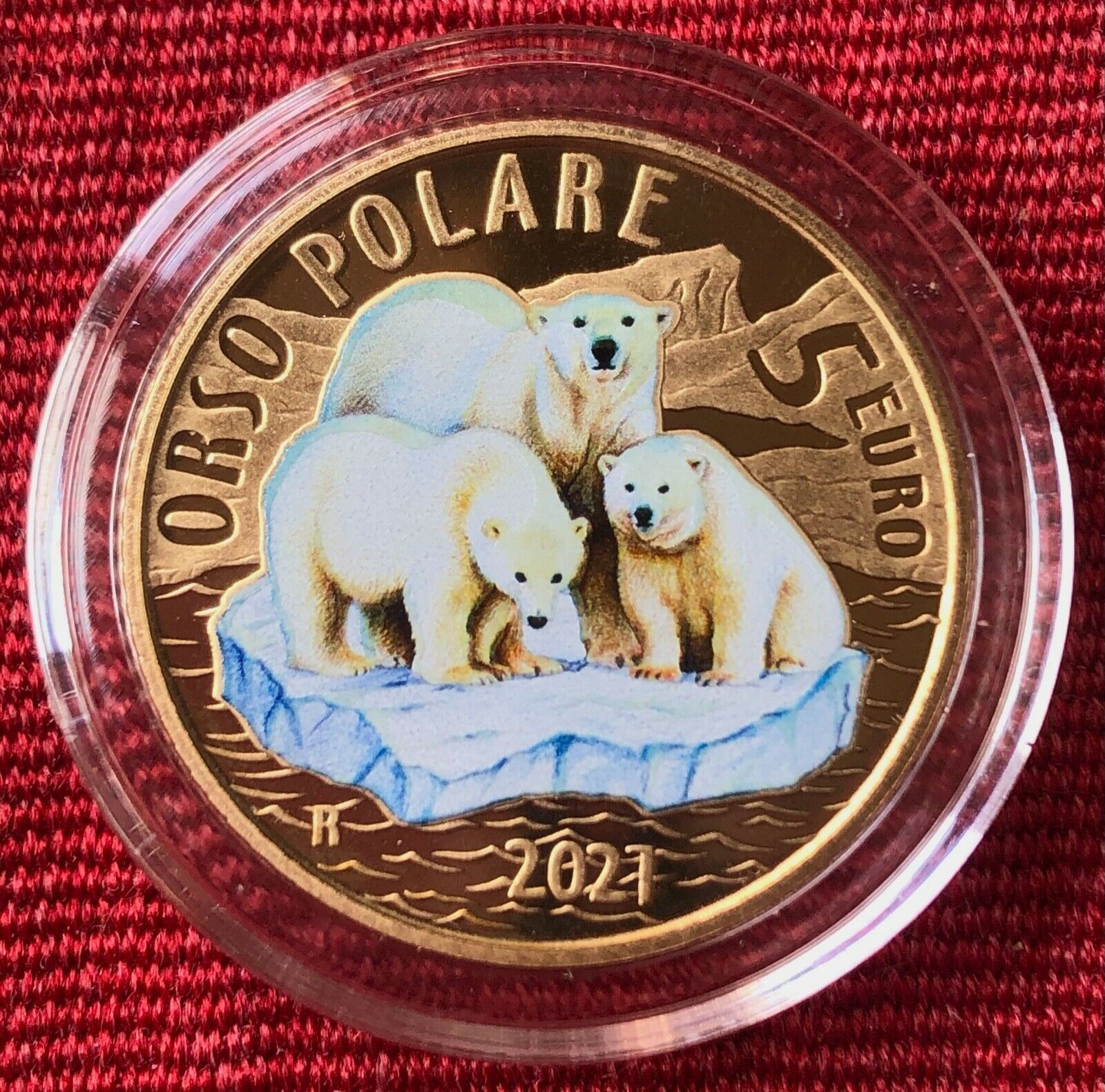 ITALIA - 2021 - ORSO