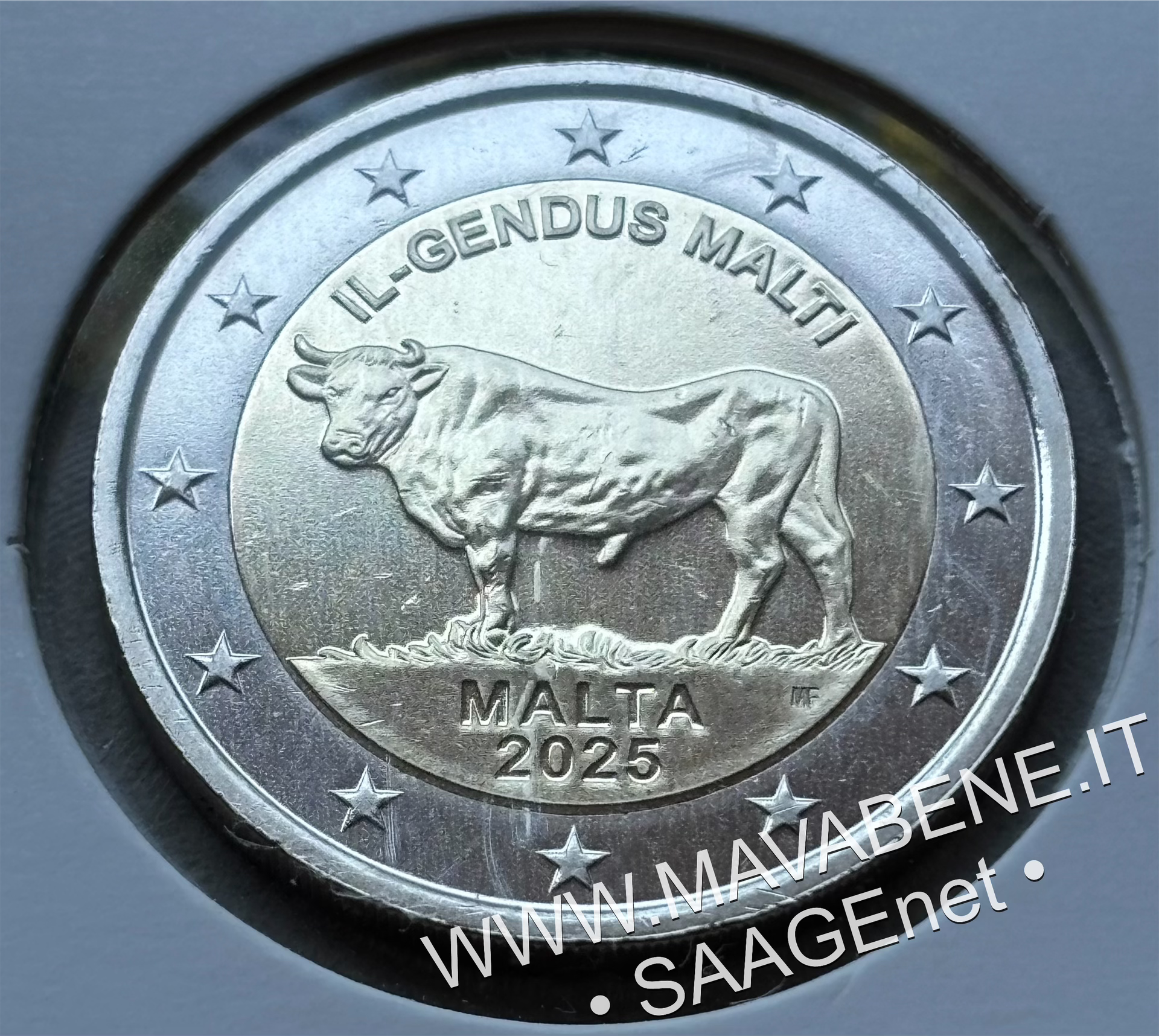 MALTA - 2025 - BUE TORO
