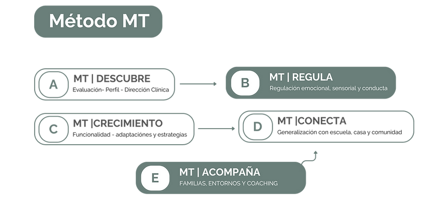 Método MT.png