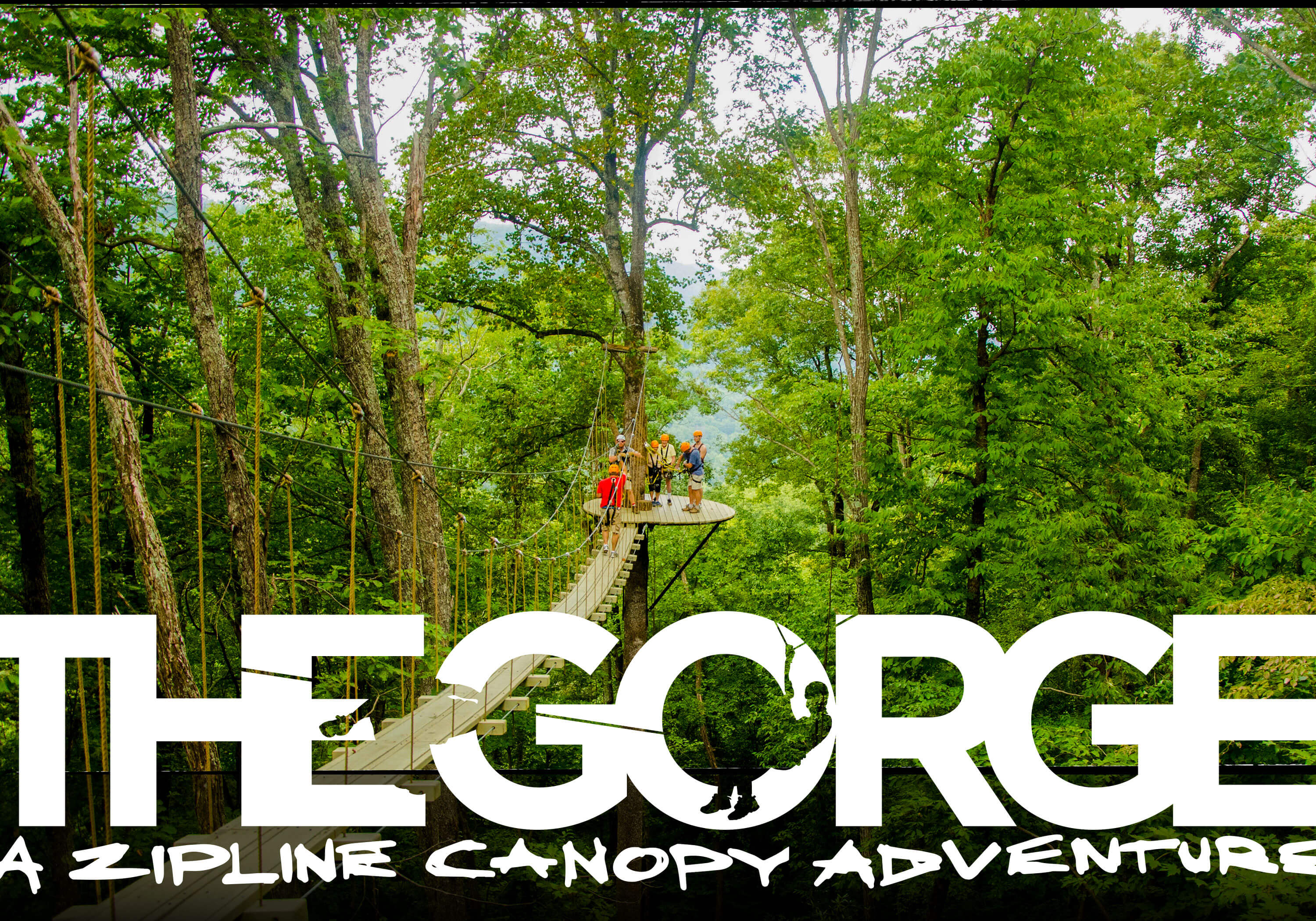 THE GORGE