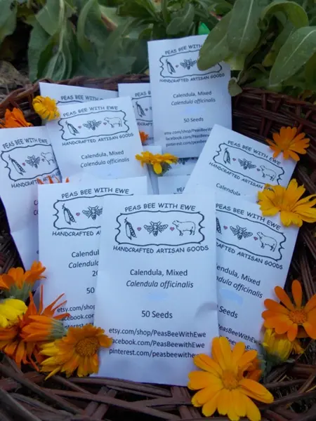 Calendula officinalis seeds, organic Calendula, orange & yellow Calendula seeds
