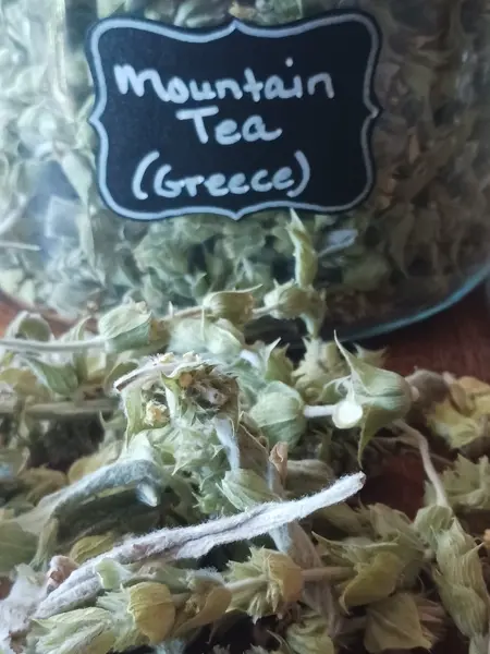 Greek mountain tea (Sideritis spp.)