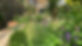 IMG_6458.jpeg