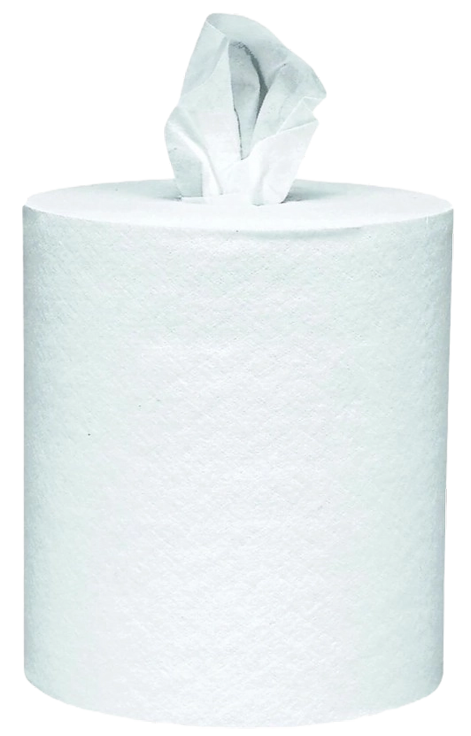 RIGHT CHOICE® ROLL TOWEL