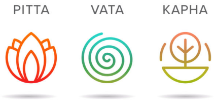 Les 3 doshas