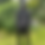 Thumbnail: DyeislifeUK Hat