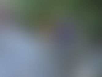 Alan, Tony, David, Sugarloaf, Townsend