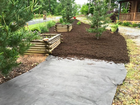 Landscaping and lawn care in Marion NC and surrounding areas.