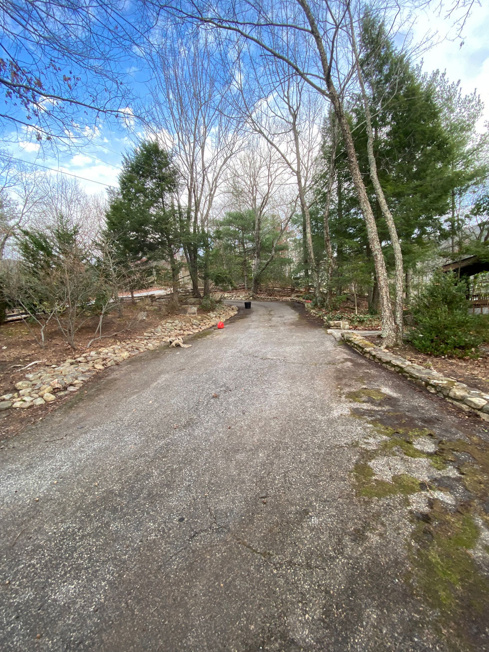 Seasonal cleanup along driveway path in North Cove NC