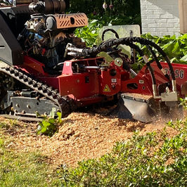 Stump Grinding