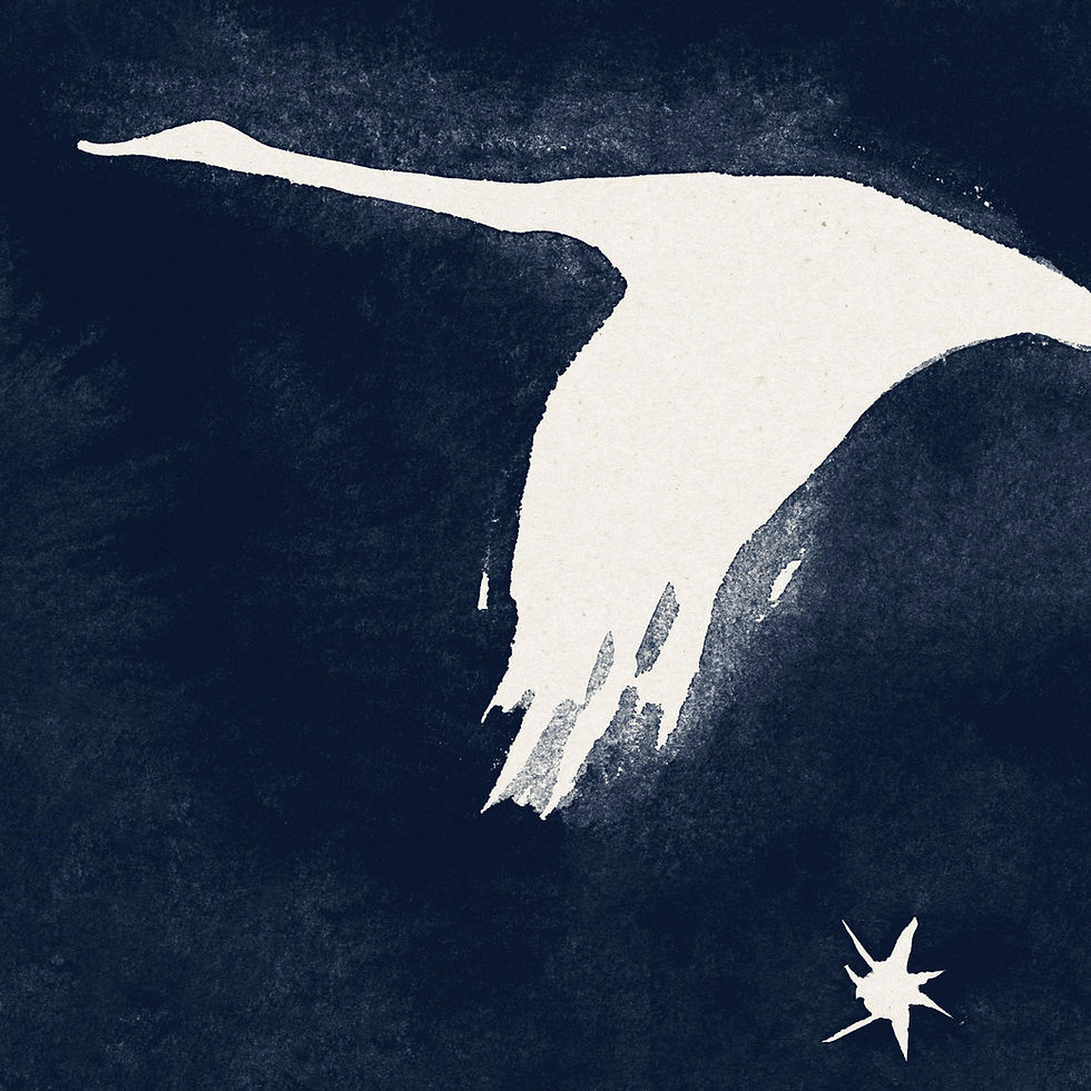 cranes on starlit background white and navy blue