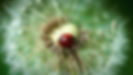 Bug_edited.jpg
