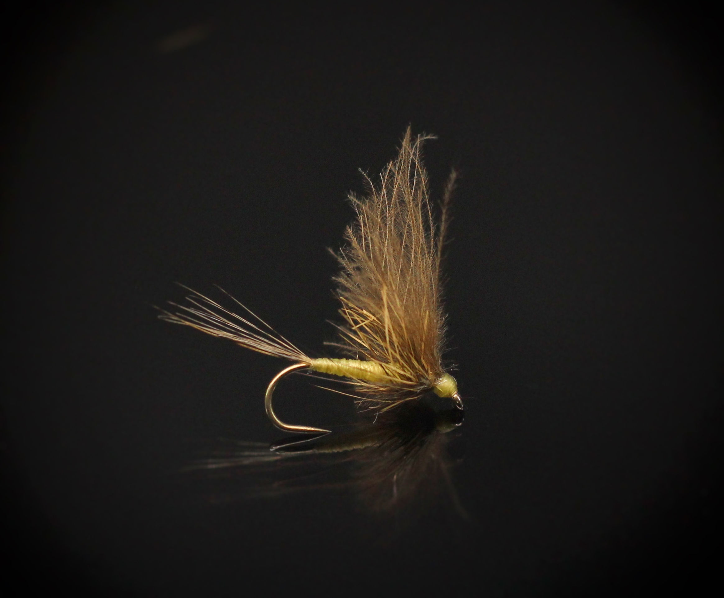 La grise à corps jaune 