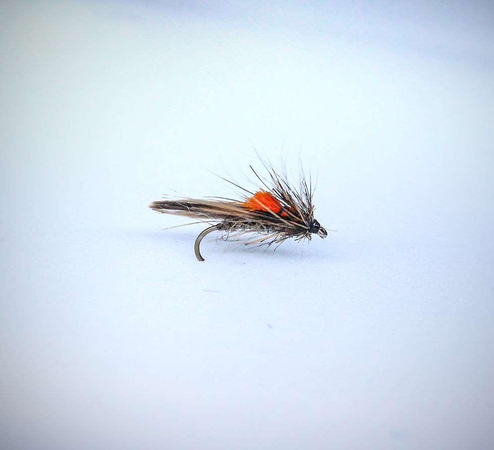 Miniature : Le Sedge FLC
