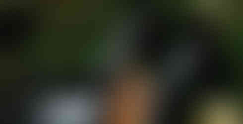 image of Destination Inclusive® Program excursion image courtesy of Paradisus by Meliá Bali