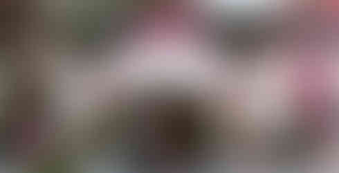 One Michelin Key property The Lowell