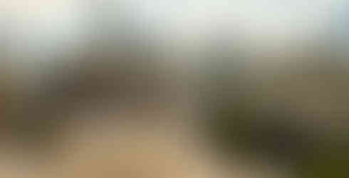 Two Michelin Key property The Mark Hotel