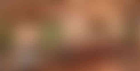 Image of dining venue Malva image courtesy of Paradisus by Meliá