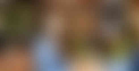 One Michelin Key property The Greenwich Hotel