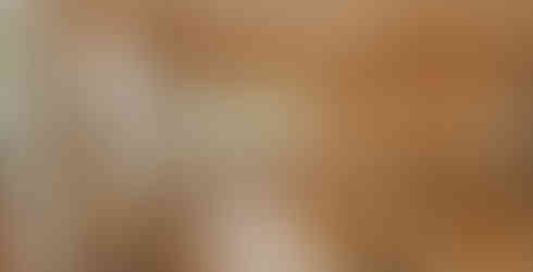 Image of Michelin-recognized Pjerin, image courtesy of Fran Parente