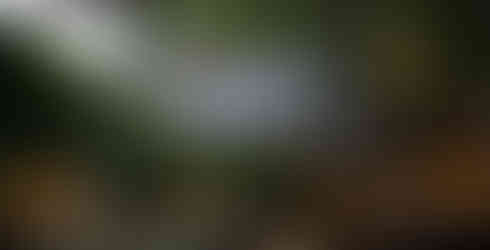 One Michelin Key property Troutbeck