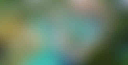 image of Aquazone Waterpark, image courtesy of Paradisus by Meliá