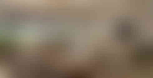 Image of a Ocean-View Villa Interior, image courtesy of Four Seasons Resort Mauritius at Anahita