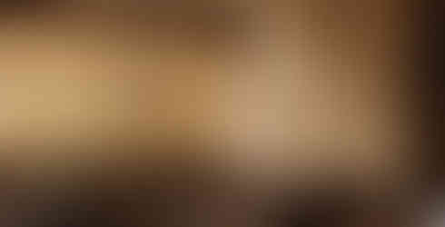 Image of the Jardin Alpin Apartment, image courtesy of Rosewood Courchevel Le Jardin Alpin