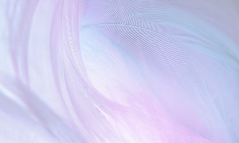 This background is a feather- textured swirl of light purple and pale pink.