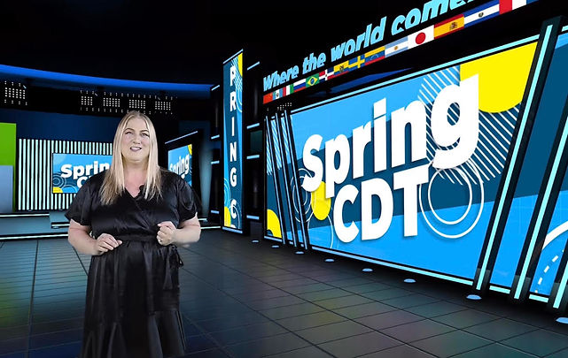 Virtual spring network.jpeg