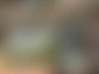 Second Mortgage Pascoe Vale VIC: Working Capital & Debt Consolidation