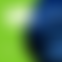 En piloto automático