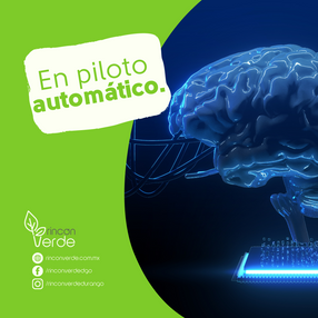 En piloto automático