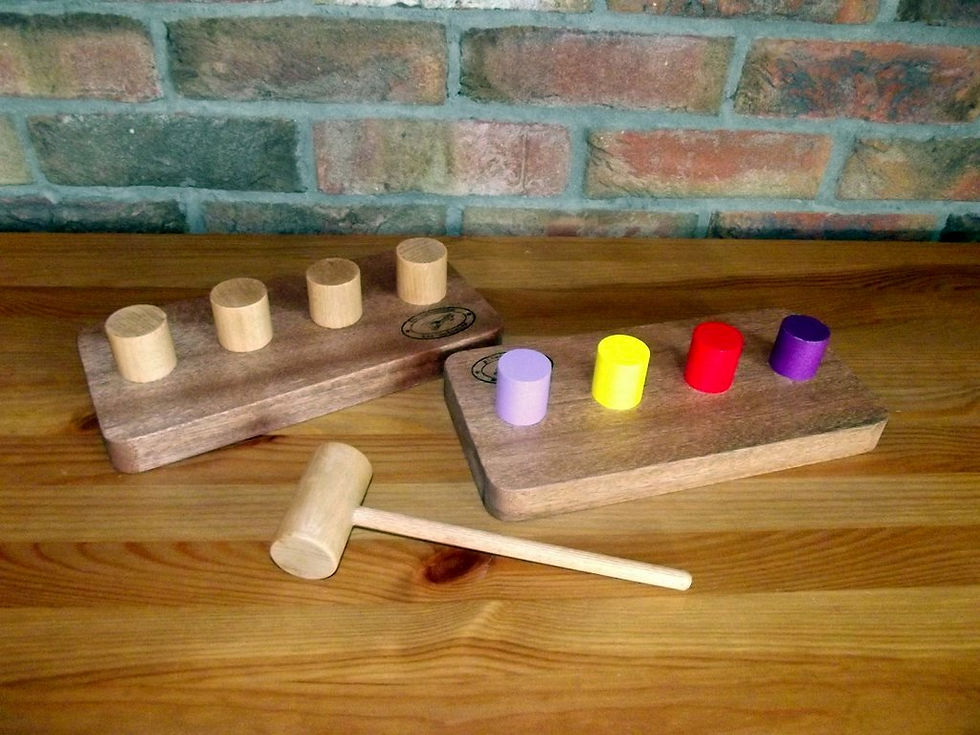 Stolarz - Przedmioty edukacyjne