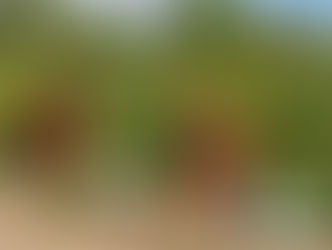 Ein Tag voller Stolz: Lumi & Nala haben es geschafft!