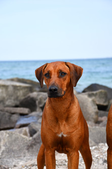 DSC_6416_edited.jpg