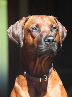 Bildschirmfoto 2022-10-03 um 23.49.48.png