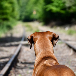 Eine herrliche Wanderung...