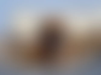 Woche 3 – unsere Welpen entdecken die Welt