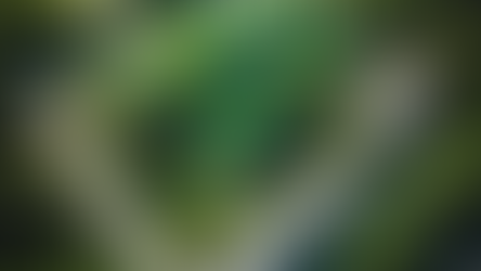 Achieving Sustainable Design Excellence: Green Building Consultancy